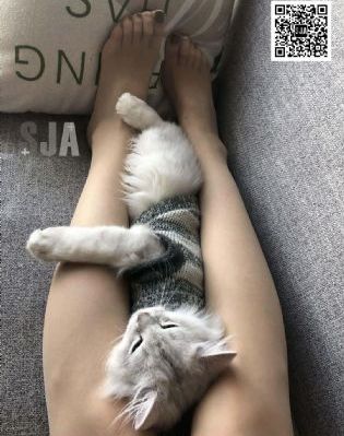 断片之险途夺宝在线完整免费观看_BD国语在线播放